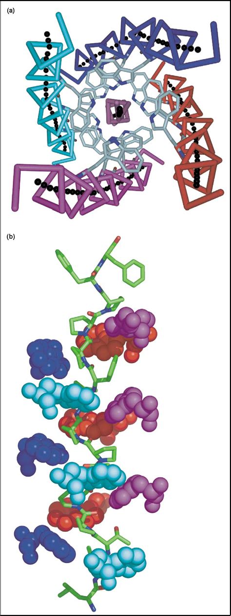 Acetylcholinesterase: 'classical' and 'non.